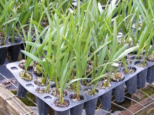 asdasdasdasdas123123